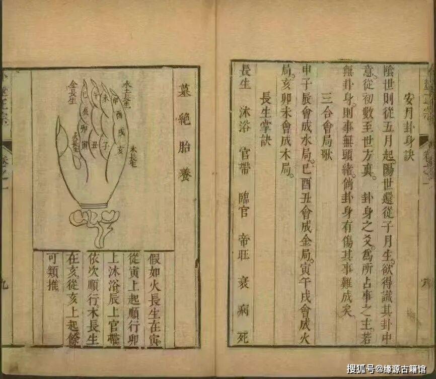 开云官网-?>B摰*,筮